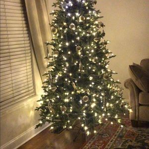 Meet your Posher, Mona